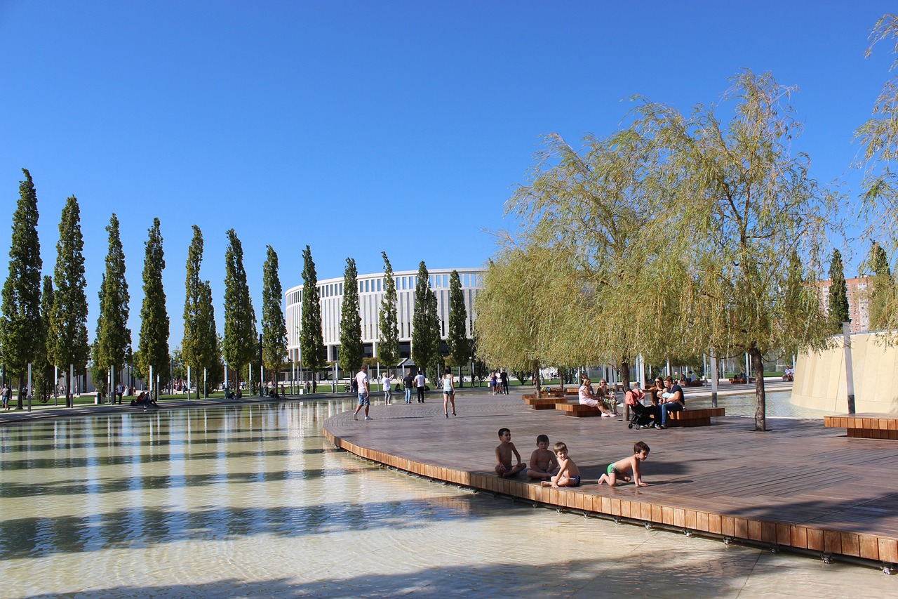 了让他恢复 了让他恢复