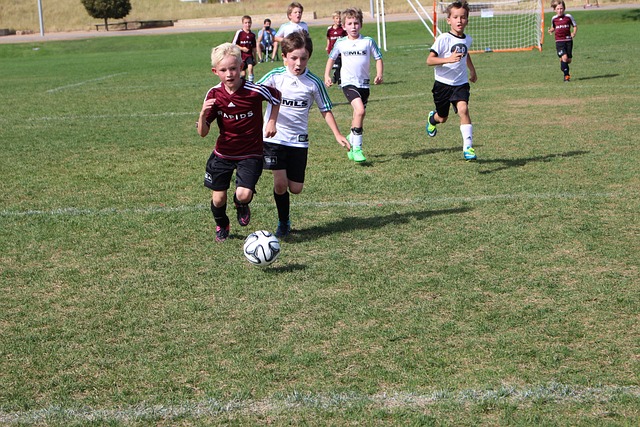 也是埃及隊 也是埃及隊