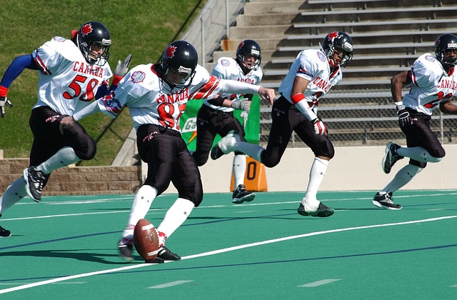 杂的国际环 杂的国际环