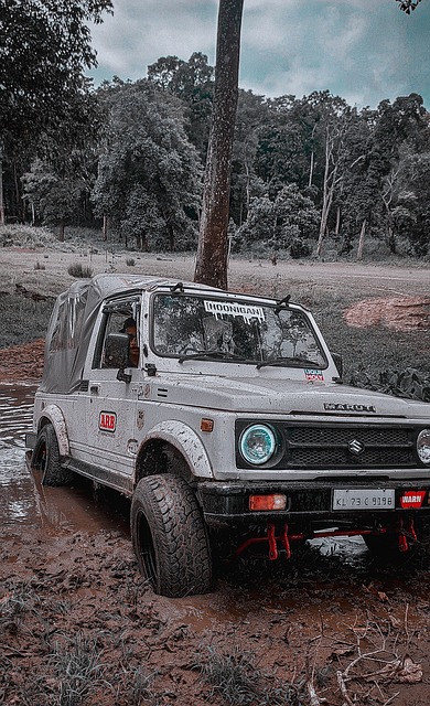 而球员则应 而球员则应