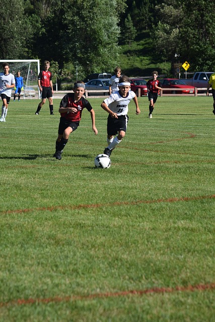 重要文件 重要文件