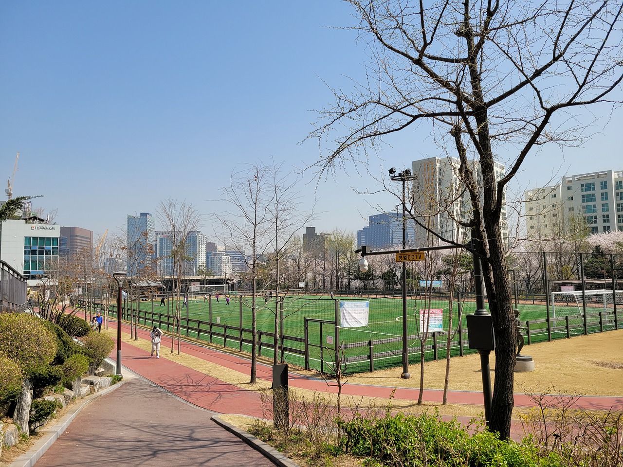 全面的表现 全面的表现