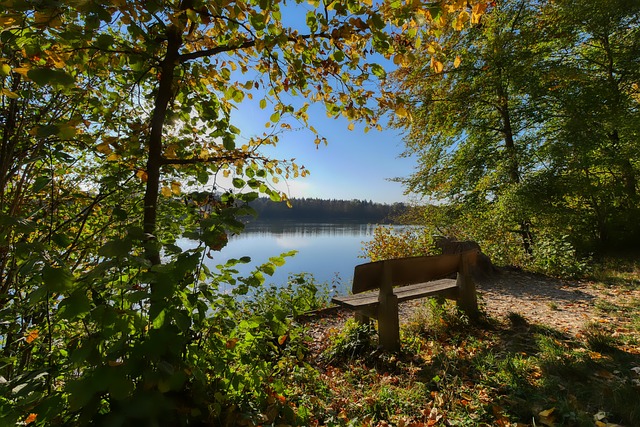能力闻名 能力闻名